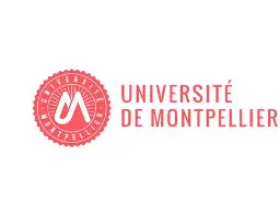 About Mamadou DIOUF